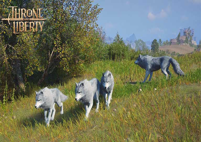 Wolf Hunting Contest